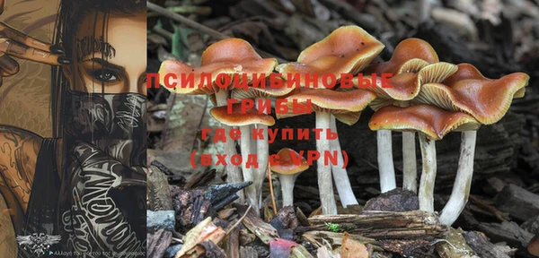 индика Абинск