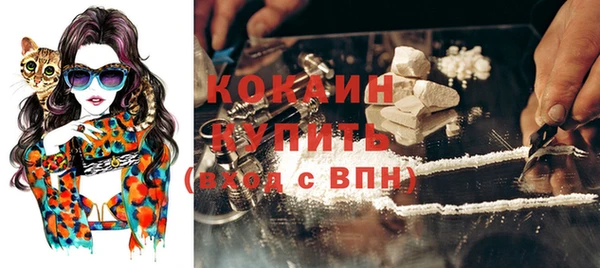 молекула духа Семилуки