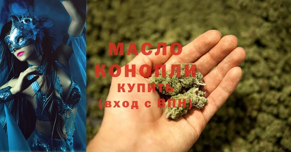 индика Абинск