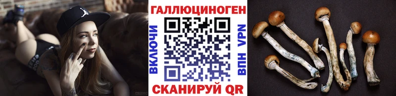 Галлюциногенные грибы GOLDEN TEACHER  Болохово 